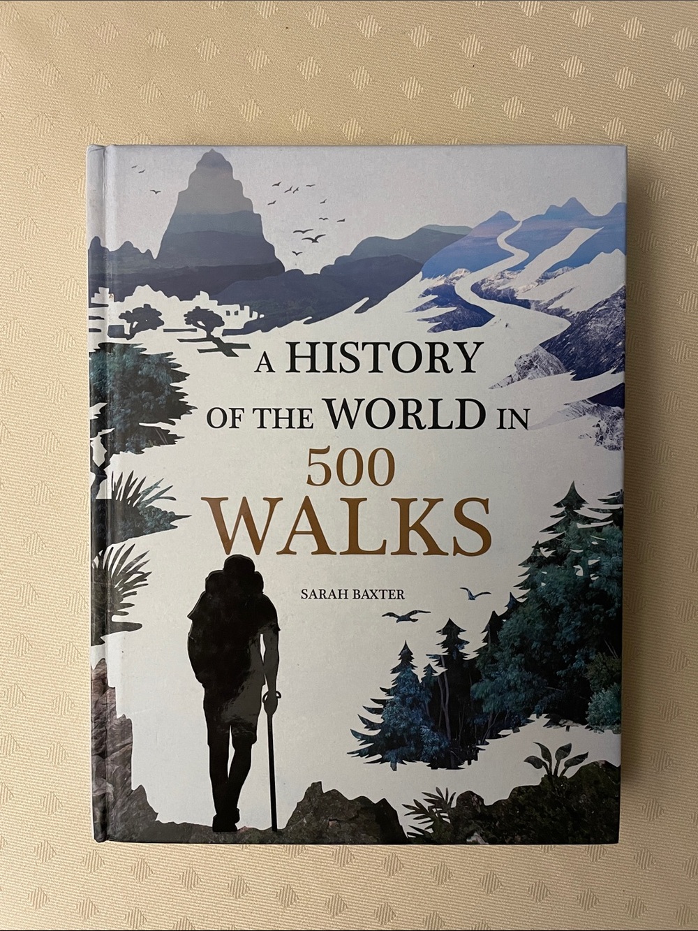 A History of the World in 500 Walks by Sarah Baxter - HARD COVER HARD BACK